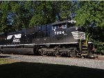 NS 7254